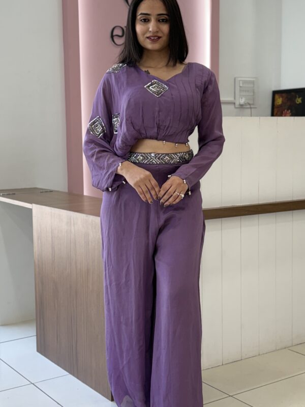 Crop Top With Plazo - Designer One-Side Sleeve