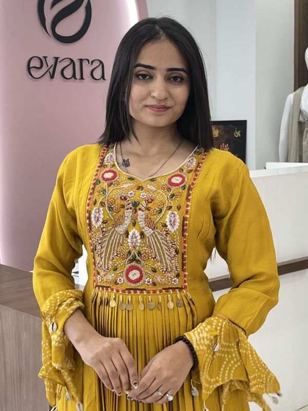 One-Piece with embroidery work on choli